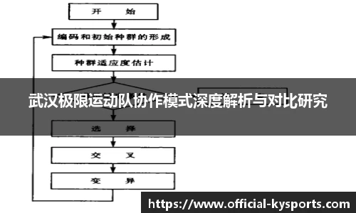 武汉极限运动队协作模式深度解析与对比研究